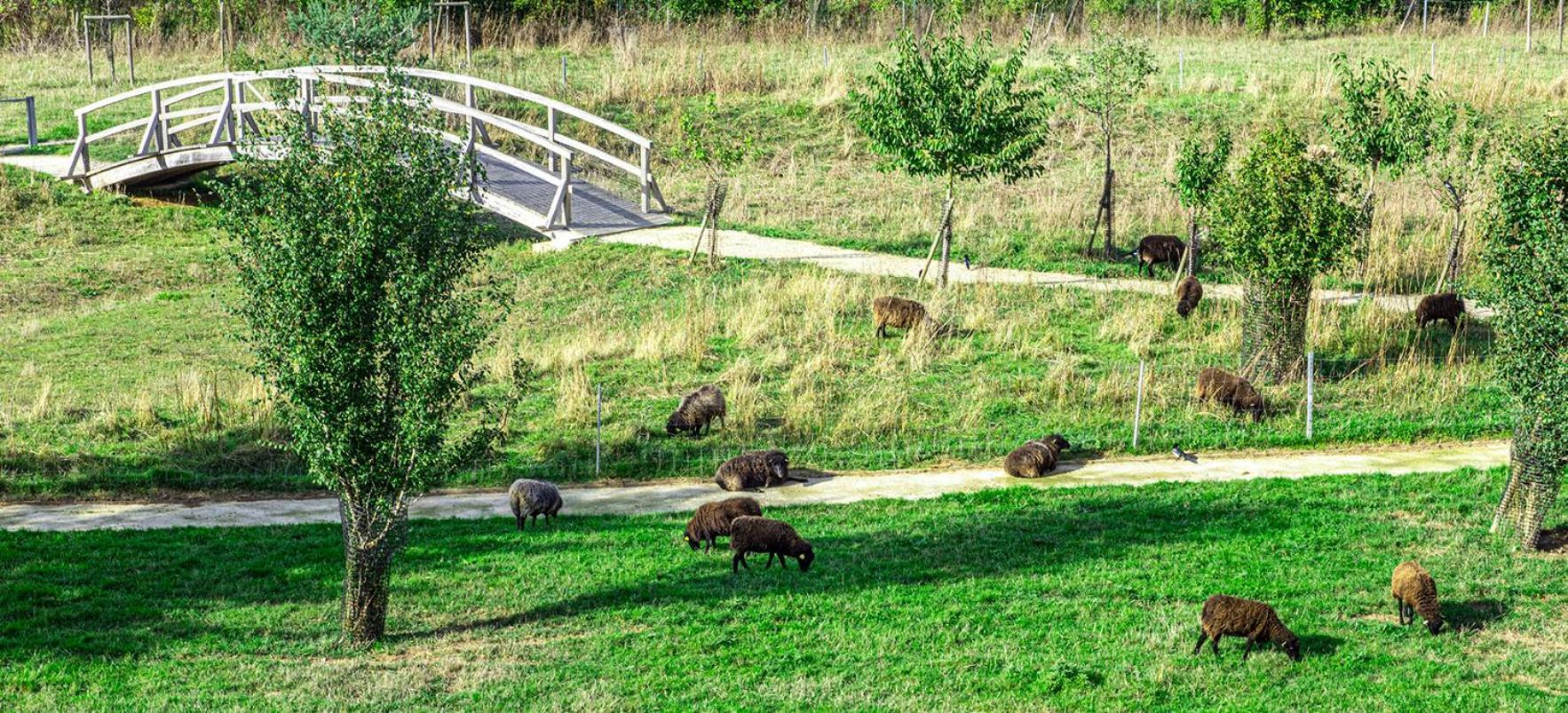 Le Green Des Impressionnistes Ennery  Εξωτερικό φωτογραφία